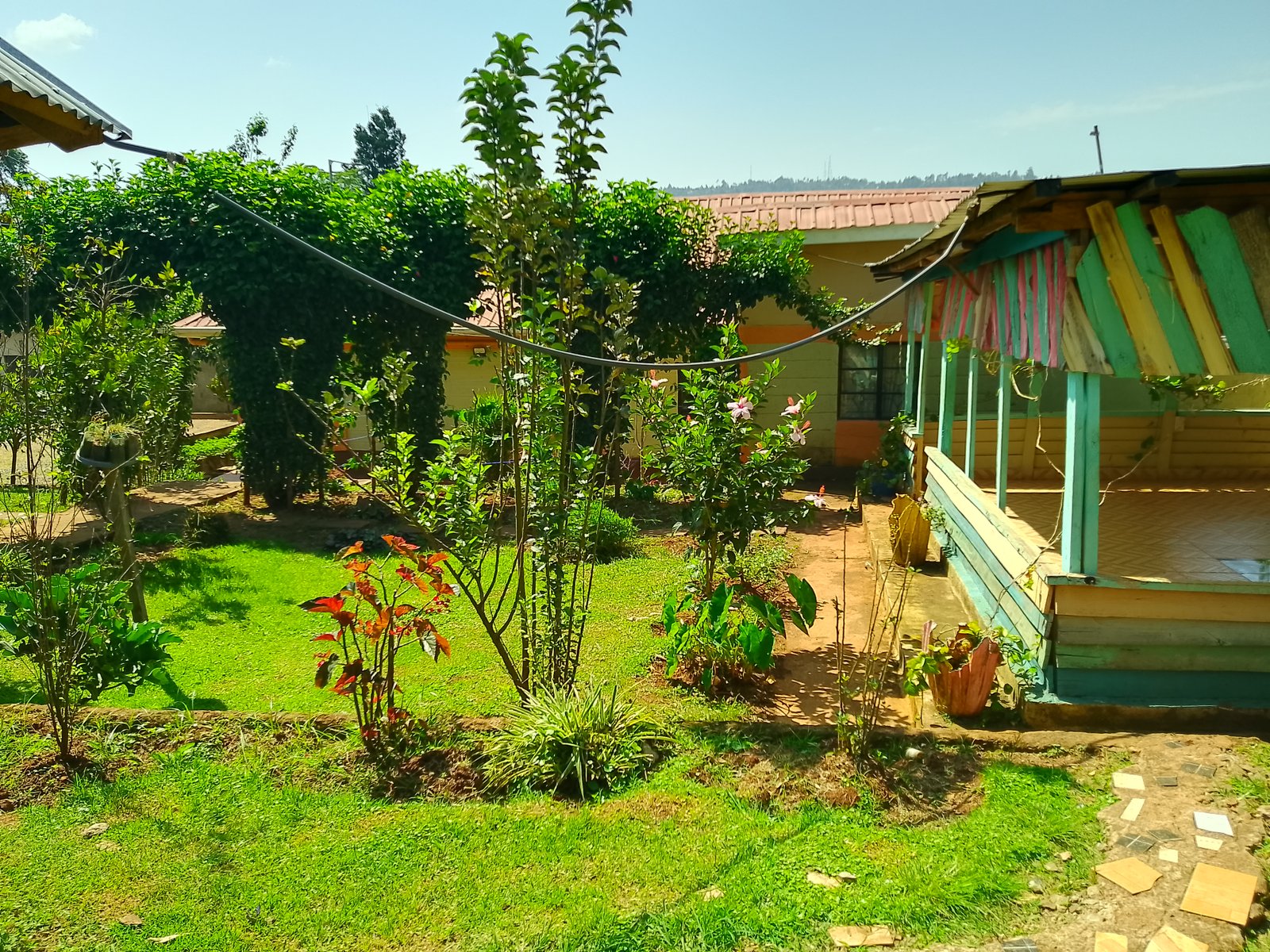Garden
